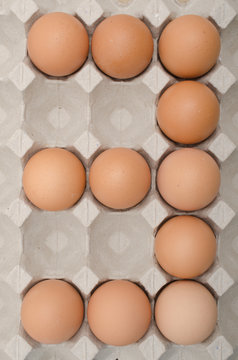 egg in tray