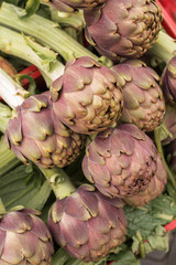 fresh purple artichokes