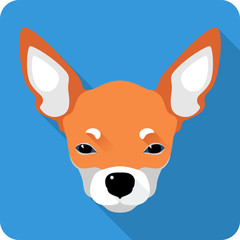 dog Chihuahua icon flat design