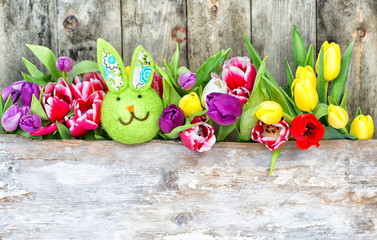 oster hase mit tulpen