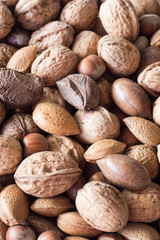 A Mixture of Walnuts, Hazelnuts, Brazil Nuts, Almonds and Pecans