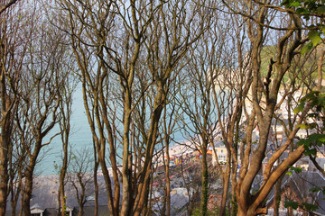 Fototapeta premium View on Etretat beach