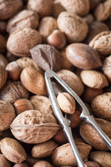 A Mixture of Walnuts, Hazelnuts, Brazil Nuts, Almonds and Pecans