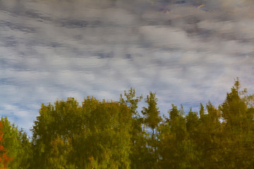 Water reflection of clouds and trees-Czech Rep.