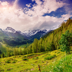 Fototapeta premium magnificent view of the Alps