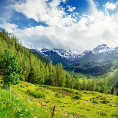 Fototapeta na wymiar magnificent view of the Alps