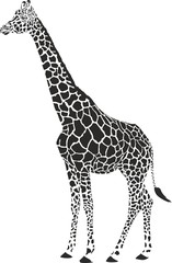 giraffe black and white vector