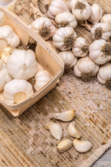 Organic garlic