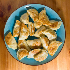 pierogi - polish dumplings