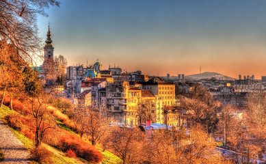View of Belgrade city center - Serbia - obrazy, fototapety, plakaty