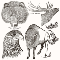 Collection of antique hand drawn animals
