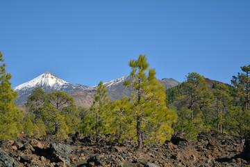 Mountain Teide in Tenerife, Canary Islands, Spain.