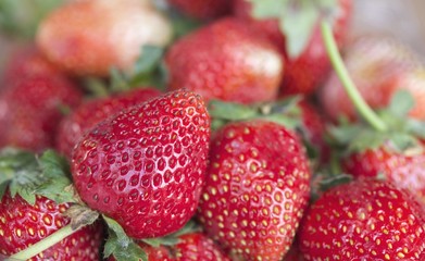 a lot of fresh strawberry