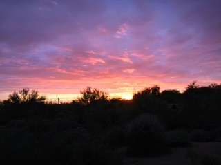Fototapeta na wymiar Colorful Desert Sunset