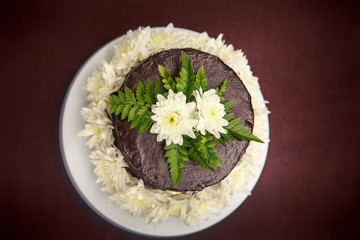 chocolate delicious cake