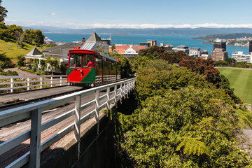 Wellington Cable Car driving uphill © Patrik Stedrak