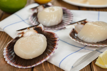 Raw scallops in the shell