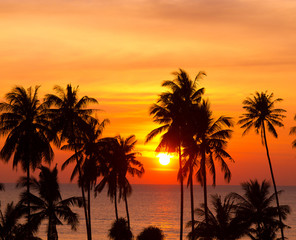 Fototapeta na wymiar Coconut Horizon Tree Silhouettes