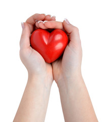 heart in hand isolated on white