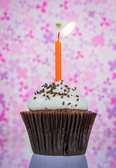 Birthday cupcake with candle