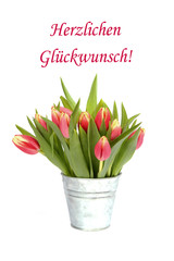 Herzlichen Glückwunsch