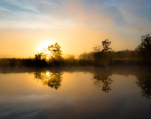 Fototapeta premium misty dawn over the river. The sun's rays from behind a tree