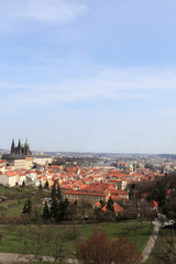 Fototapeta premium Landscape of St. Vitus Cathedral