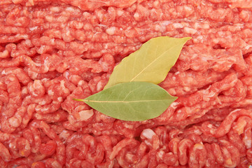 Raw pork meat ground beef
