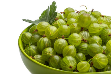 Gooseberry