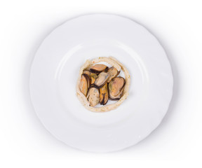 Tasty seafood on the round plate.