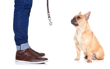 dog and owner