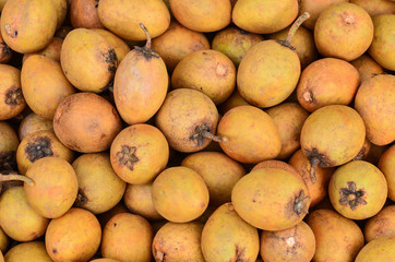 Sapodilla
