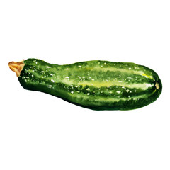 Zucchini