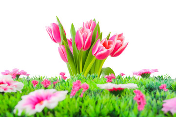 Tulpenstrauß und Blumenwiese