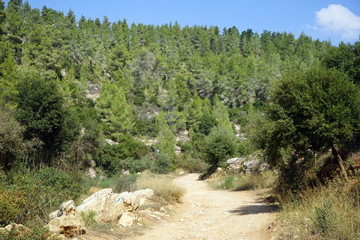 Fototapeta premium Dirt road