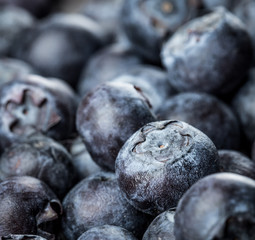 Blueberries background