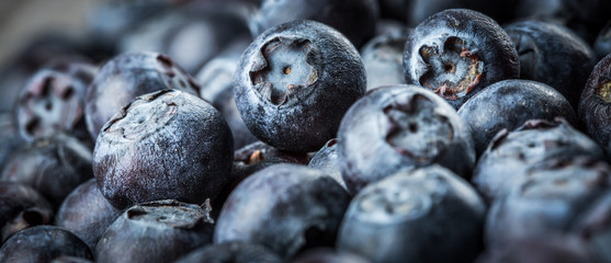 Blueberries background