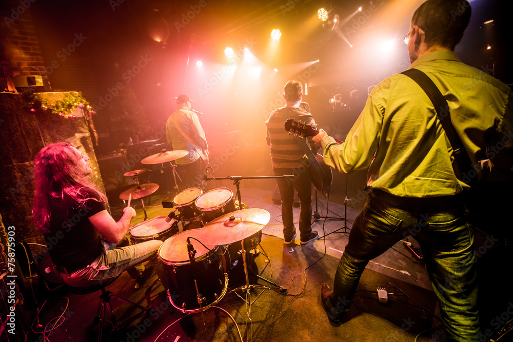 Wall mural Band performs on stage