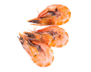 boiled shrimps