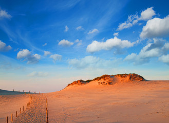 Dunes at Slowinski National Park