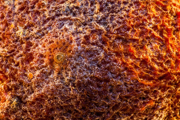 Orange, s&eacute;cher