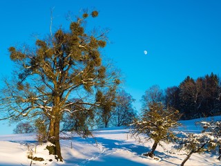 Bayrische Winterlandschaft mit aufgehendem Mond