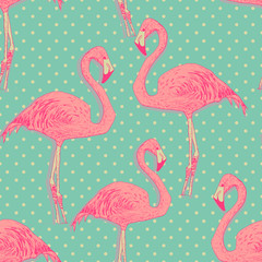 seamless flamingo bird pattern. hand drawn vector