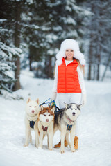 Fototapeta na wymiar Portrait of a beautiful woman with Siberian huskies - Husky.