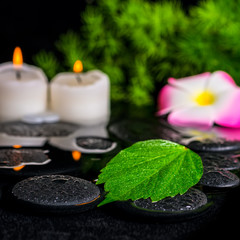 beautiful spa concept of green leaf hibiscus, plumeria with drop