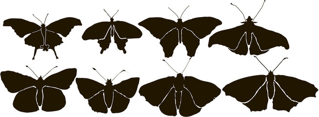 Fototapeta na wymiar Set Butterflys Silhouette Vector
