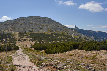 Mountain hiking trail in the summer in the Giant Mountains
