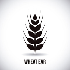 wheat ear