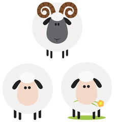 Ram And Sheep Modern Flat Design . Collection Set