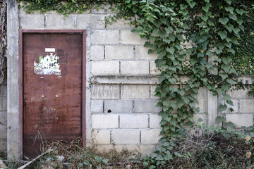 grunge brick wall with old door